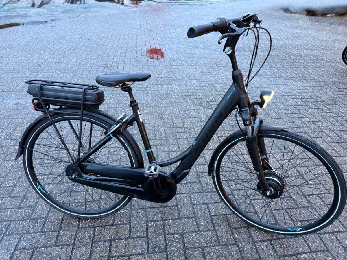 Giant Ease-E+ Dames Antraciet M 2016 (F.100802)