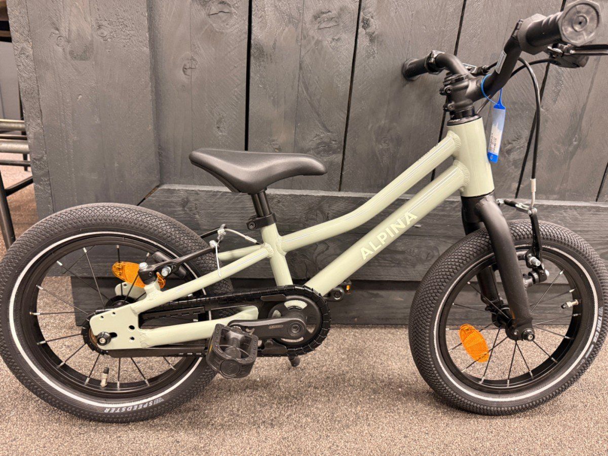 Alpina Zoof 14 lila of grijs 2024 (AZ14)