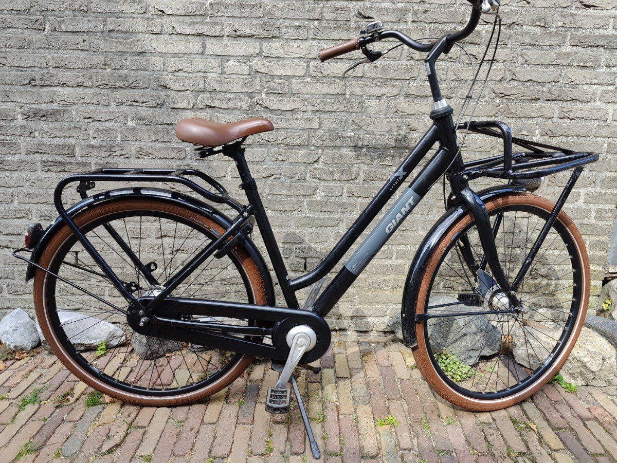 GIANT Triple X Dames Metallic Black M 49cm M 2021 (4712878637375)