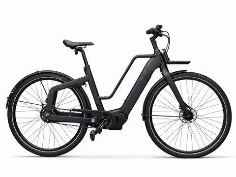 Brinckers Blazar Dames Green 50cm 2026 (8720143981104)