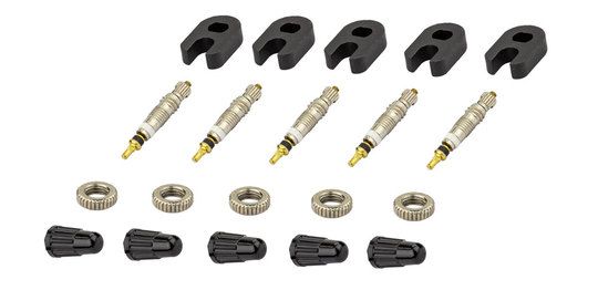 Alligator VENTIEL BINNENPILAAR SCLAV DS A 5 (8787168120147)