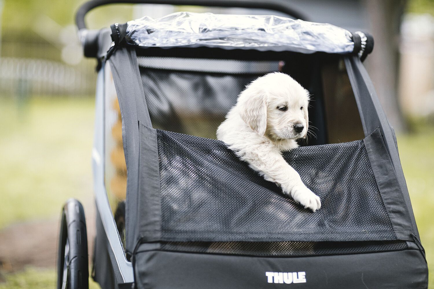 THULE COURIER DOG TRAILER KIT (091021771130)
