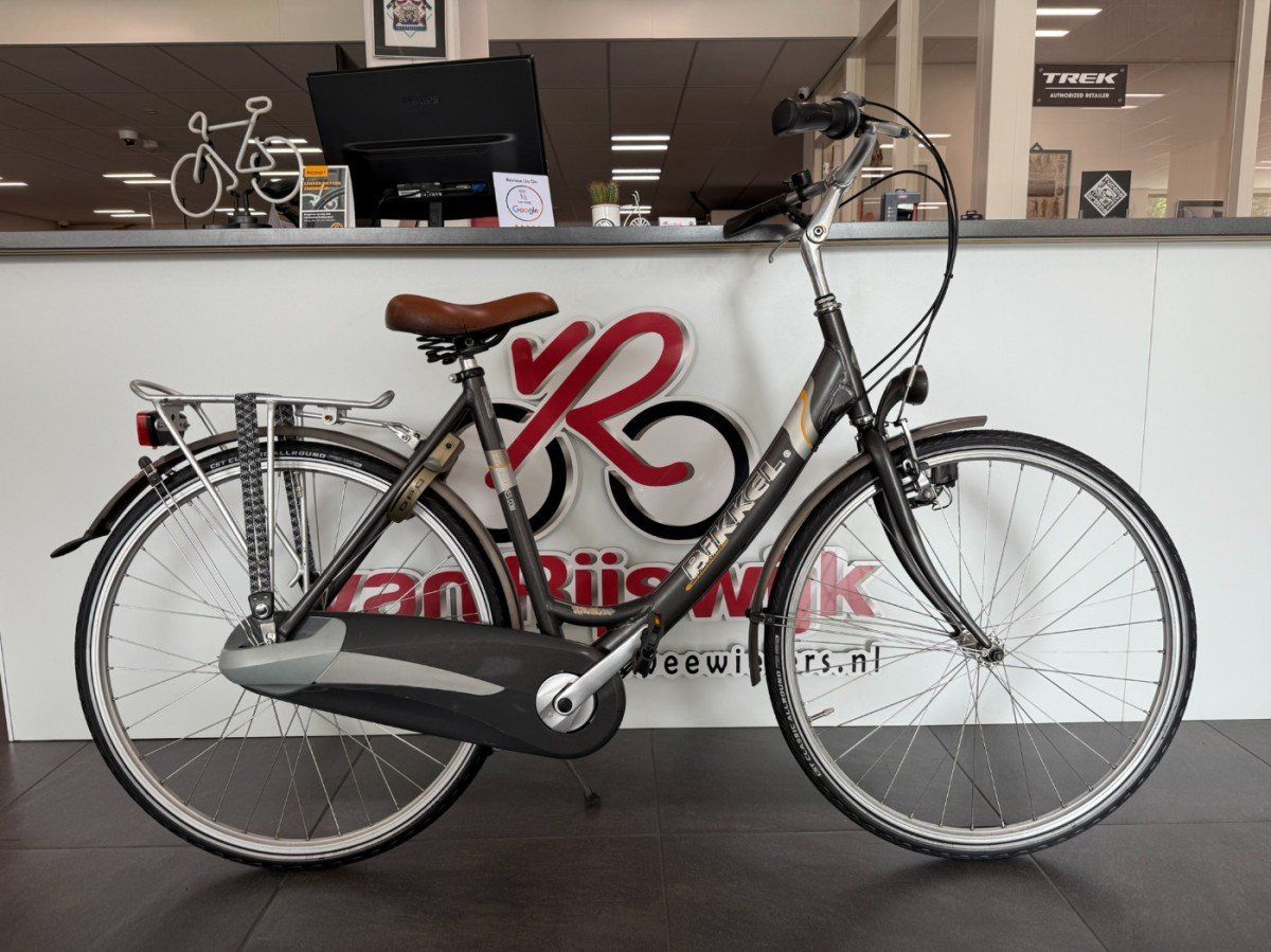 Bikkel Arnhem Dames Mat Grijs 54cm 2015 (F.13800)