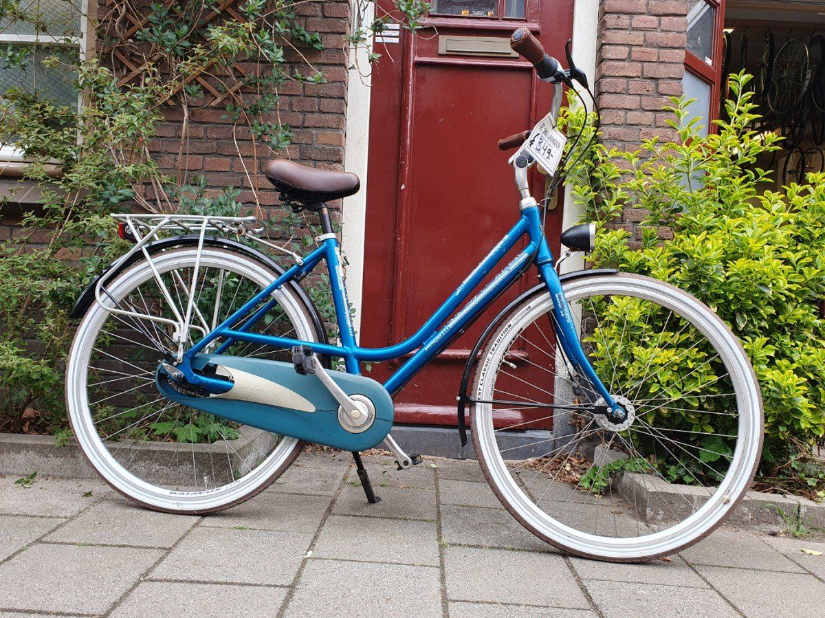 Batavus Flash Dames Groen 48cm 2020 (F.1210)