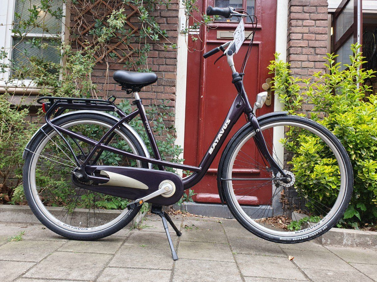 Batavus Mambo paars 53cm 2020 (F.1290)
