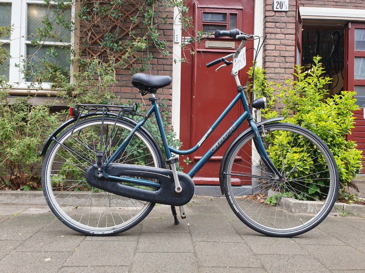Giant custom Groen 57cm 2020 (F.1272)