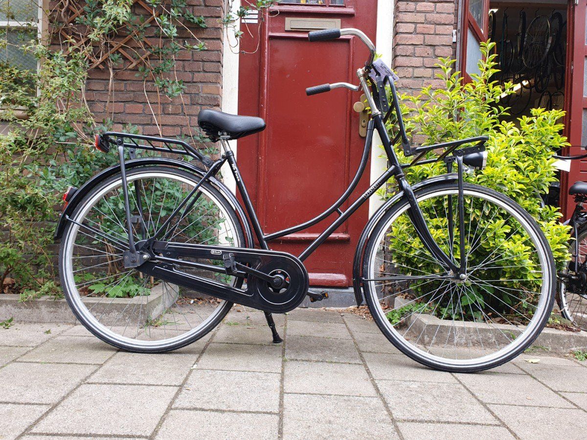 Limit No fuss zwart 53cm 2020 (F.1318)