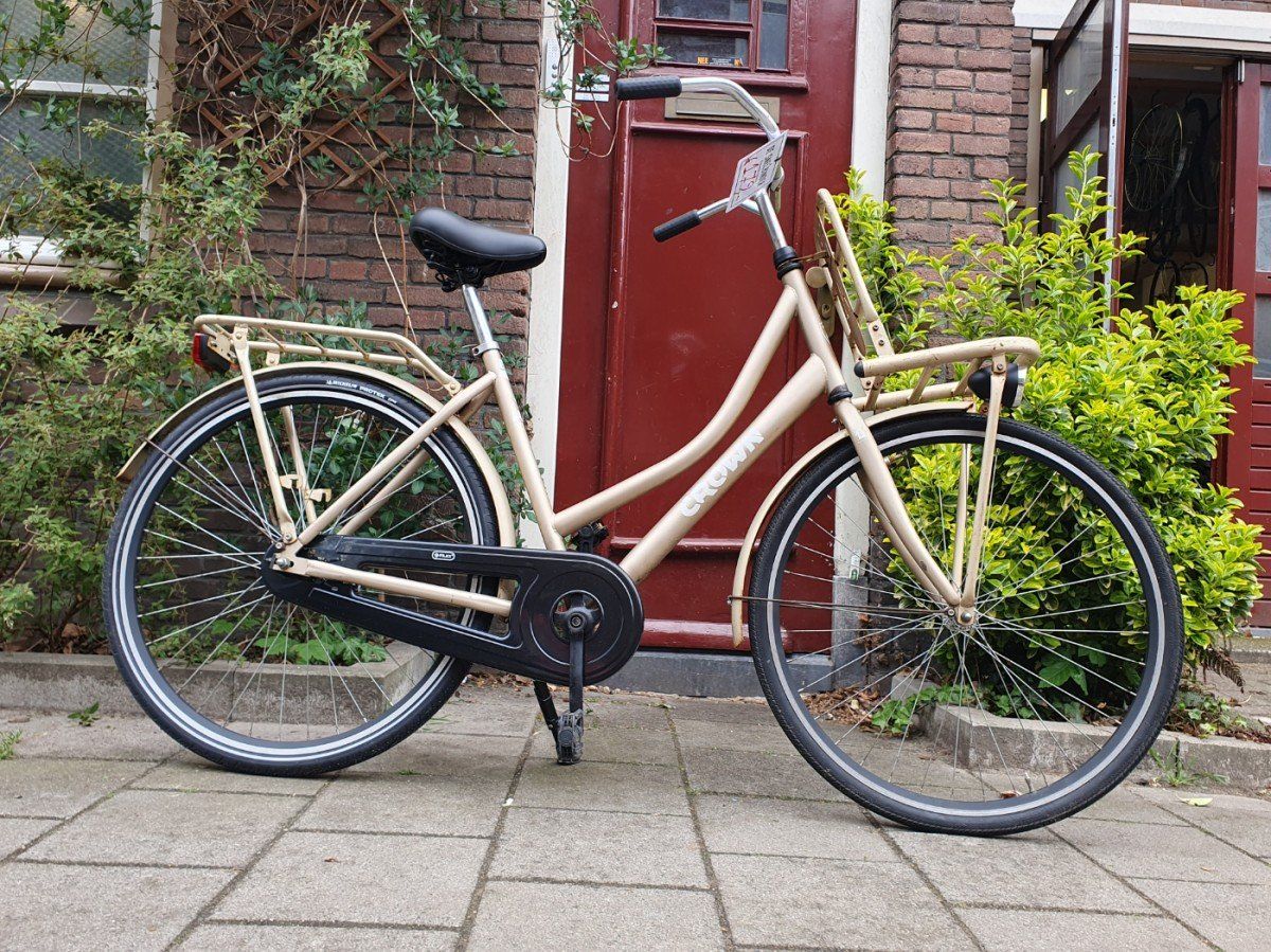 Crown holland goud 53cm 2020 (F.1308)