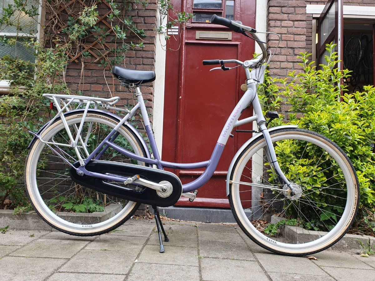 Montego libirty paars 57cm 2020 (F.1306)