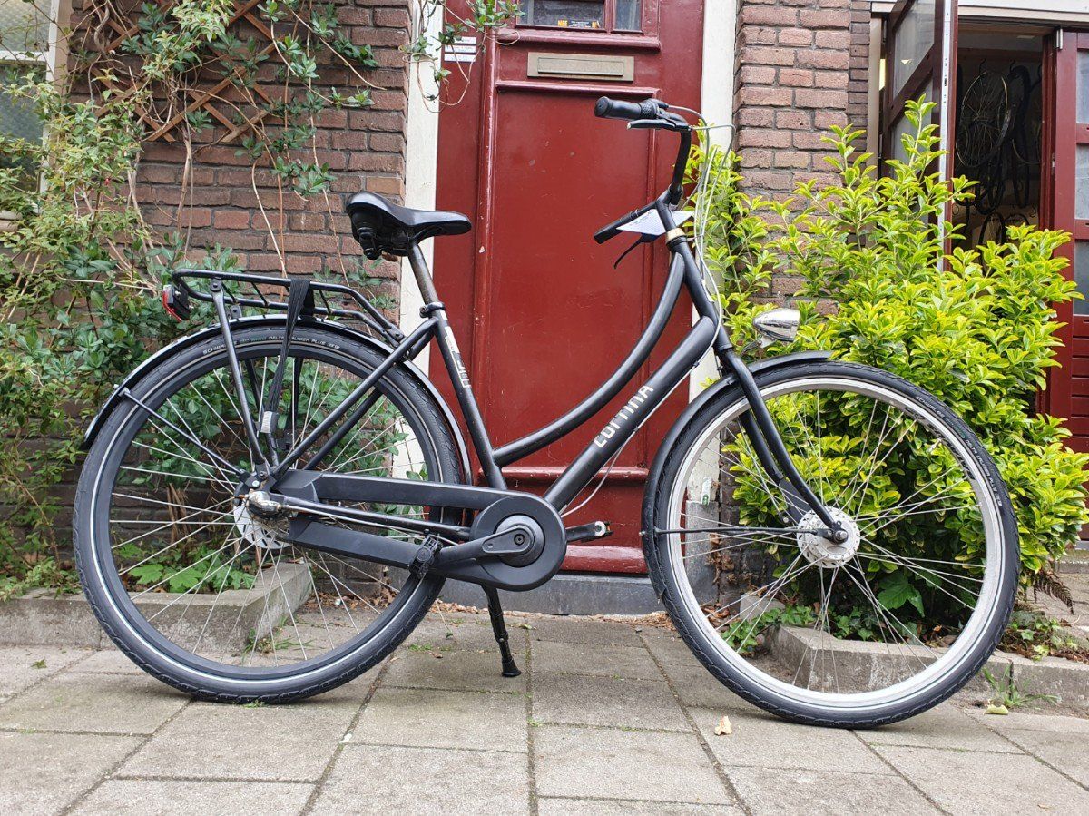 Cortina u1 zwart 52cm 2020 (F.1302)