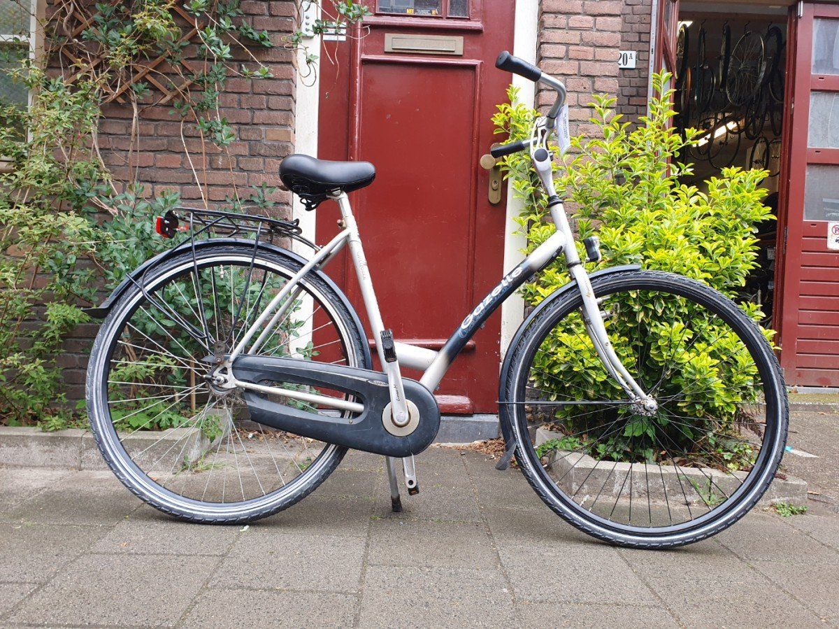 Gazelle grenado Grijs 53cm 2020 (F.1254)