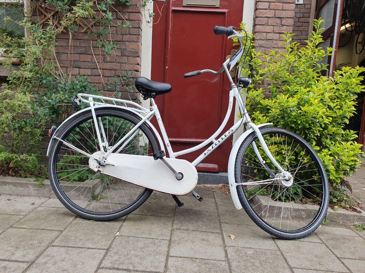 Gazelle Classic wit 51cm 2020 (F.1298)