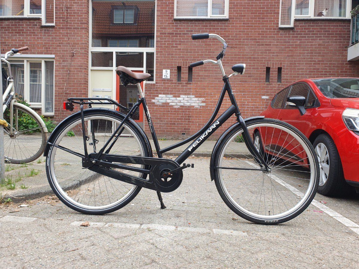 Pelikaan dutch classic zwart 56cm 2020 (F.1330)