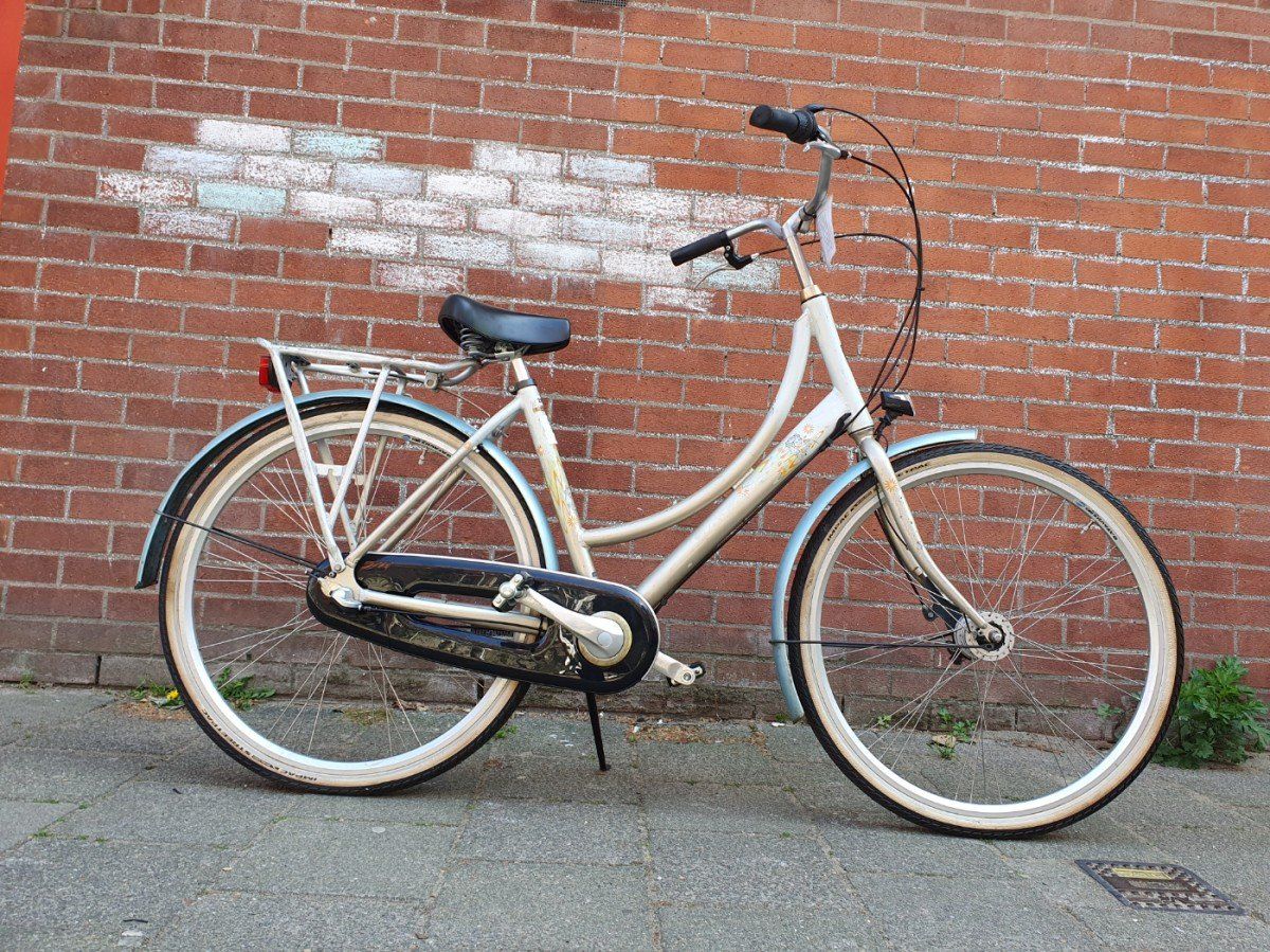 Batavus Blockbuster zilver 50cm 2020 (F.1382)