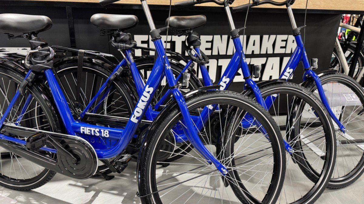 Fokus Bike Blauw 2025 (F.35176)