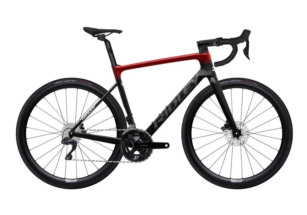 Ridley Falcn Shimano 105 DI2 // 2x12s FAL01Bs L 2024 (5400928526692)