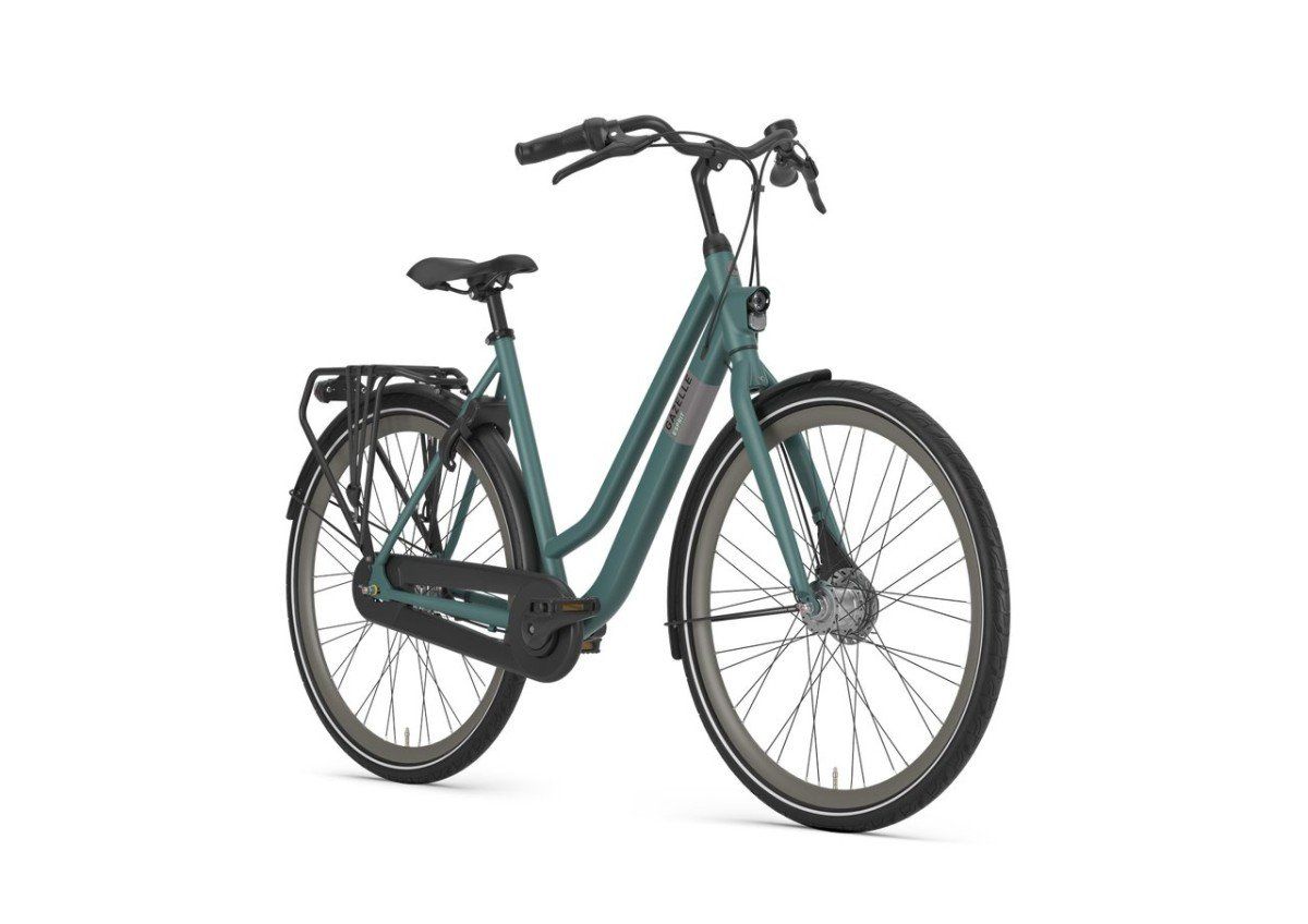 GAZELLE Esprit Dames Thyme Green Mat 54cm 2025 (8717231368985)