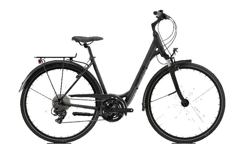 Winora Domingo X21 Low Dames Grey 50cm M 2026 (4054624180224)