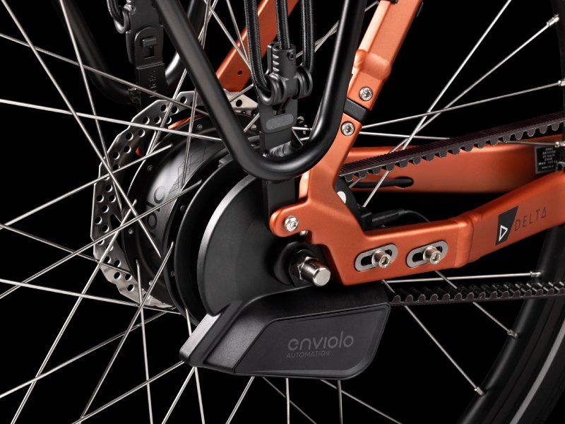 RIH Delta Dames MAT KOPER 54cm 2026 (F.43004)