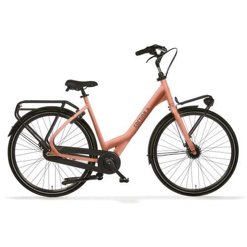 Cortina common 57cm 2025 (8719461061285)