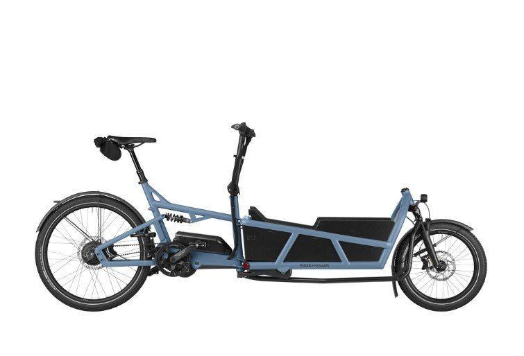 Riese & Müller Load5 75 vario arctic 2026 (F01642_050107210813)