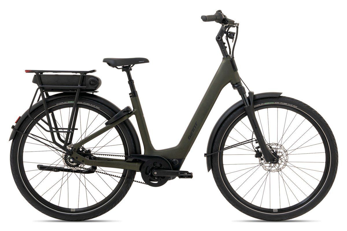 GIANT Entour E+0 LDS Dames Phantom Green L 55cm L 2026 (4711291257184)