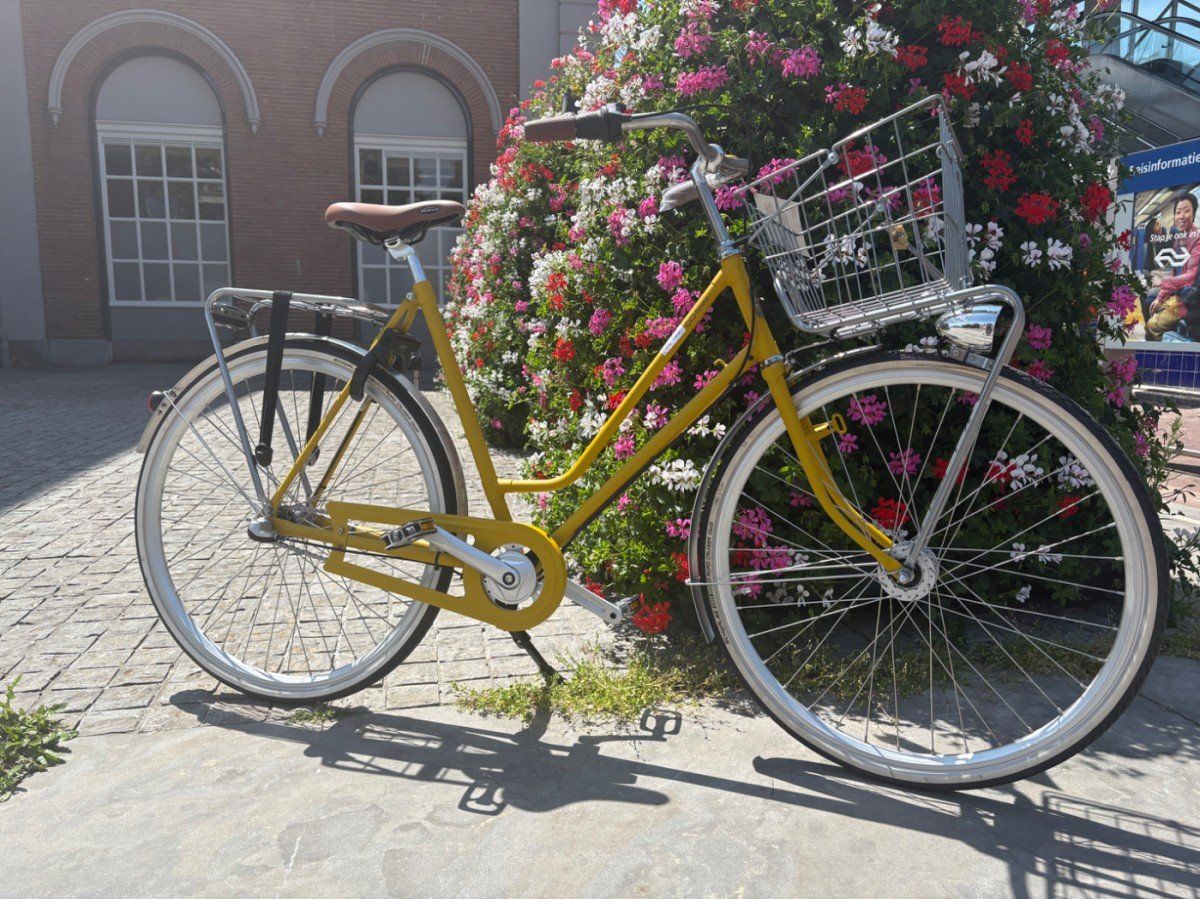 Roetz Road Lady 25 RY RE 3d Rg Af Fc Rc Ba GsR Ks Lt Dames Rebel Yellow 57cm 2025 (F.26928)