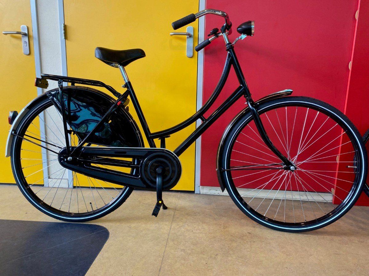 ALDO dames Dames Zwart 50 cm. 50cm 2025 (13107015)