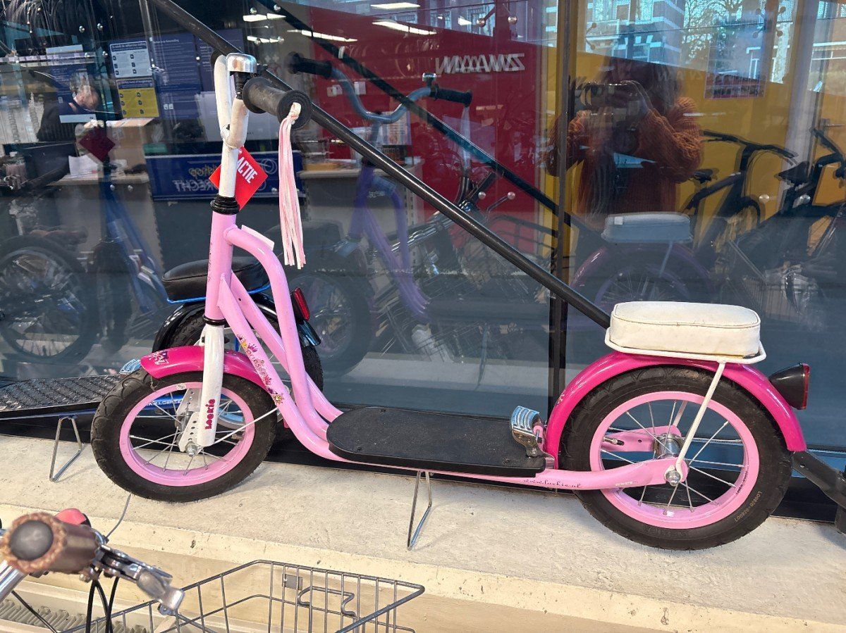 Loekie Princess Roze (F.28036)