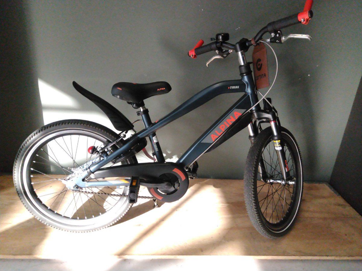 ALPINA Trial Jongens Dark Petrol Matt 31cm 2023 (8719461050029)