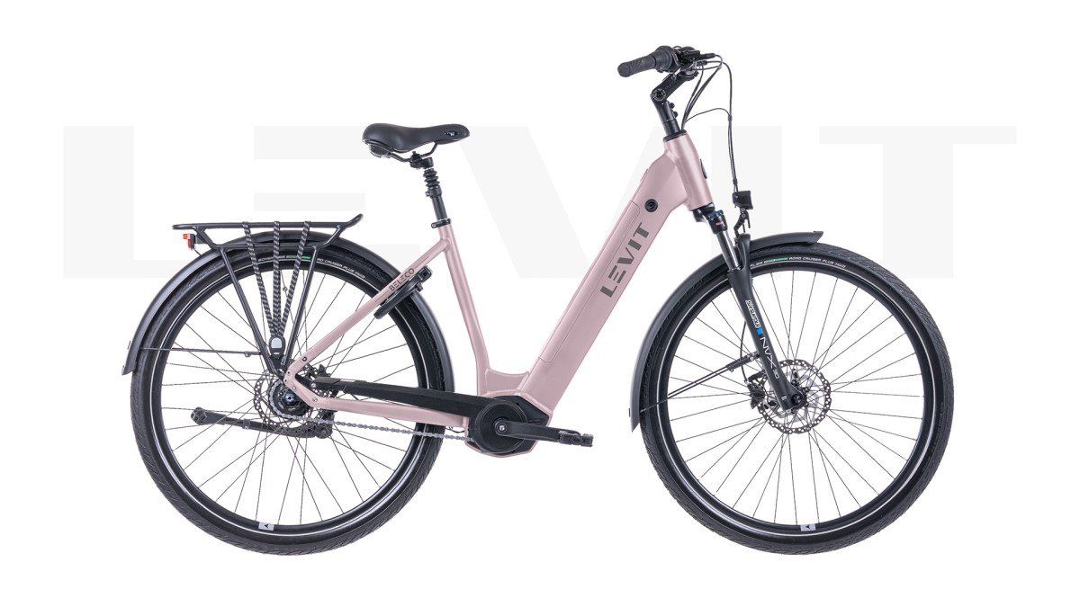 LEVIT BELECO 7 low 50 rose 540 Rose 50cm 2025 (8595174257395)