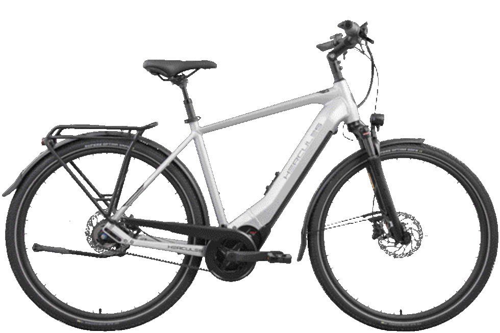 Hercules Pasero Comp I-F5 Heren Zilver Mat 58cm 2024 (4063519055370)