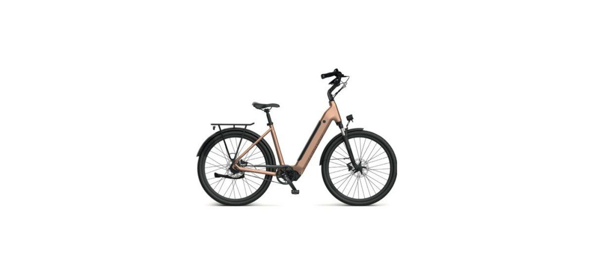 Van Dijck Kronos N7 Belt Dames monotube Cooper 51cm M 2025 (0125OCT00002)