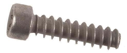 Magura Schroeven voor klembeugel m5x18 10st. (4055184005576)