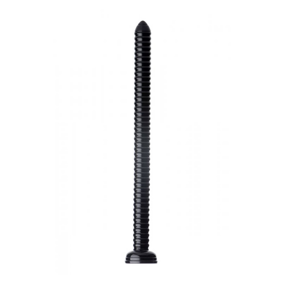 Xr brands Anal Snake - 19 / 48 cm (848518028563)
