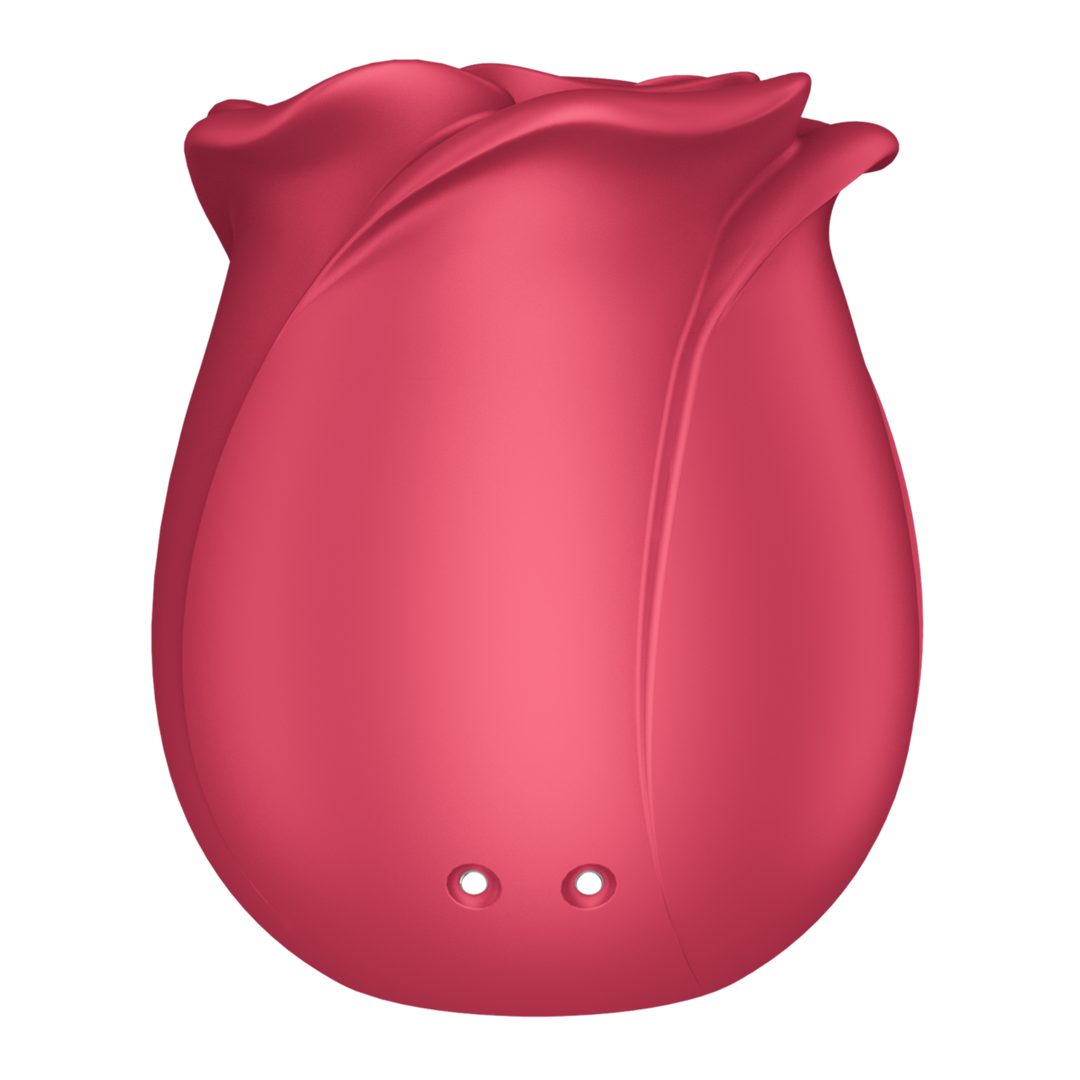 Satisfyer Pro 2 - Classic Rose - Air Pulse Vibrator (4061504065854)