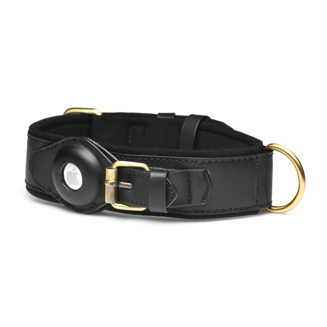 Xr brands Tracer - Tracking Collar - Zwart (848518051882)