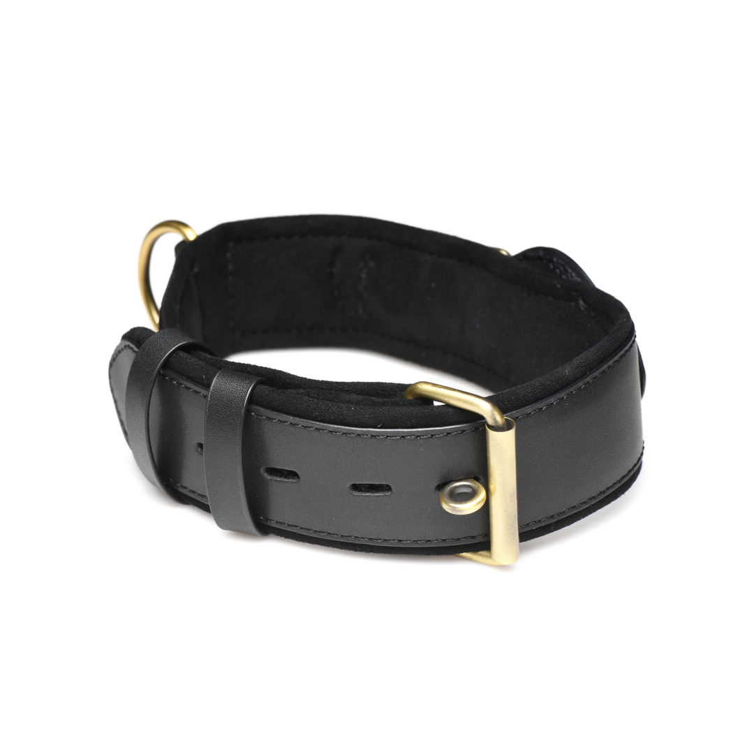 Xr brands Tracer - Tracking Collar - Zwart (848518051882)
