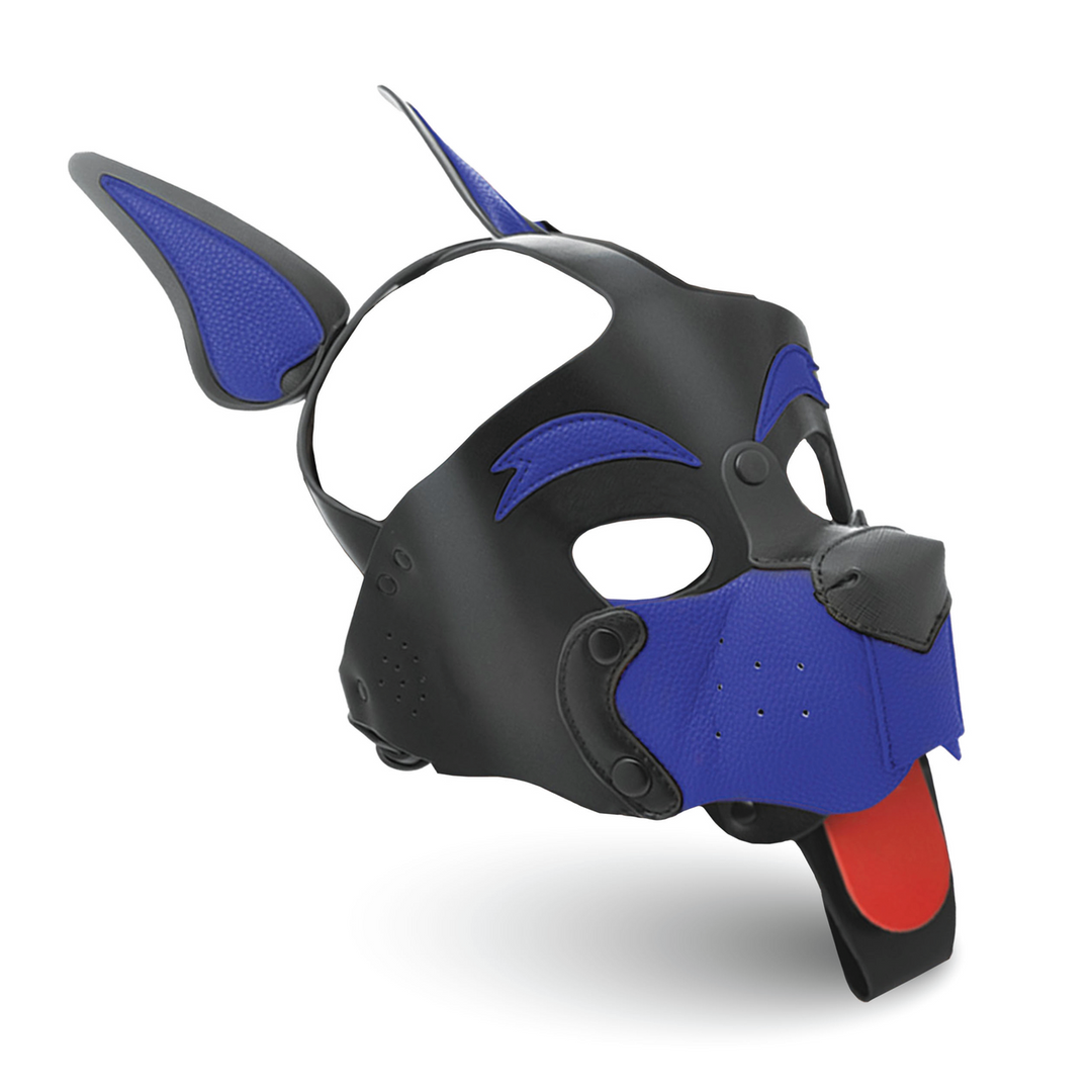 Xr brands Alpha Dog - Pup Hood - Blauw (848518058485)
