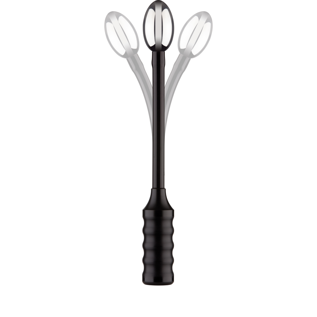 Electrastim Diepe Oplading Electro Dildo (609224031113)