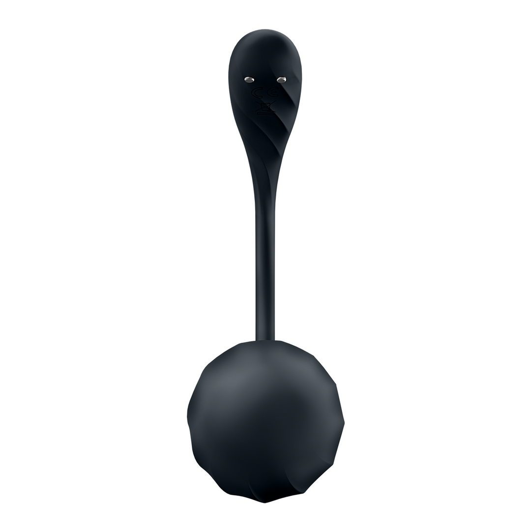 Satisfyer Ribbed Petal Connect App - Draagbare Koppel Vibrator - Zwart (4061504002767)