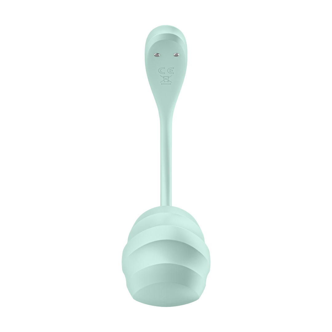 Satisfyer Smooth Petal Connect App - Draagbare Paar Vibrator - Mint (4061504002736)