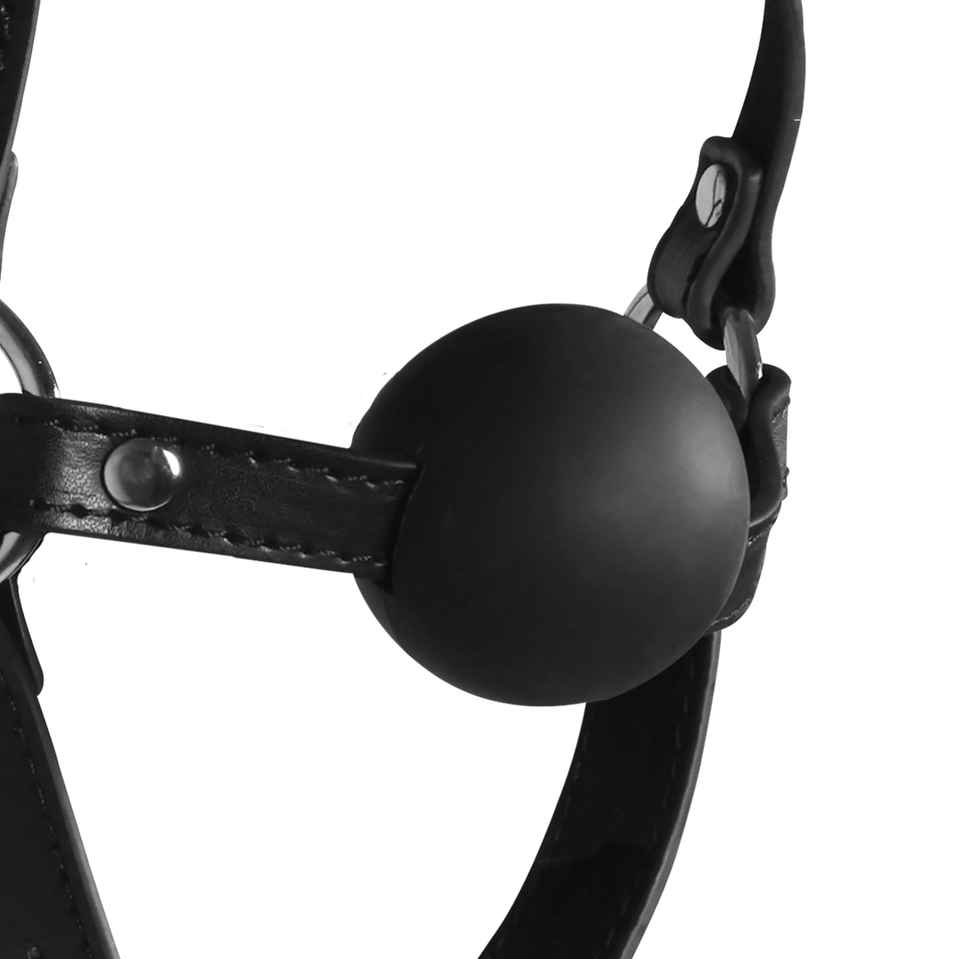 Ouch! by shots Blindfolded Head Harness met Solid Ball Gag - Zwart (8714273050939)