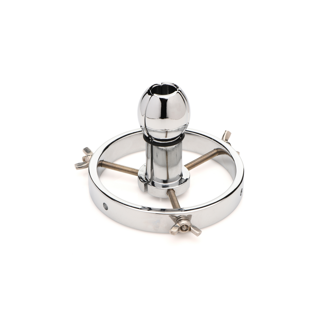 Xr brands Forcerende Spreiding - RVS Anale Verkenner (848518051608)