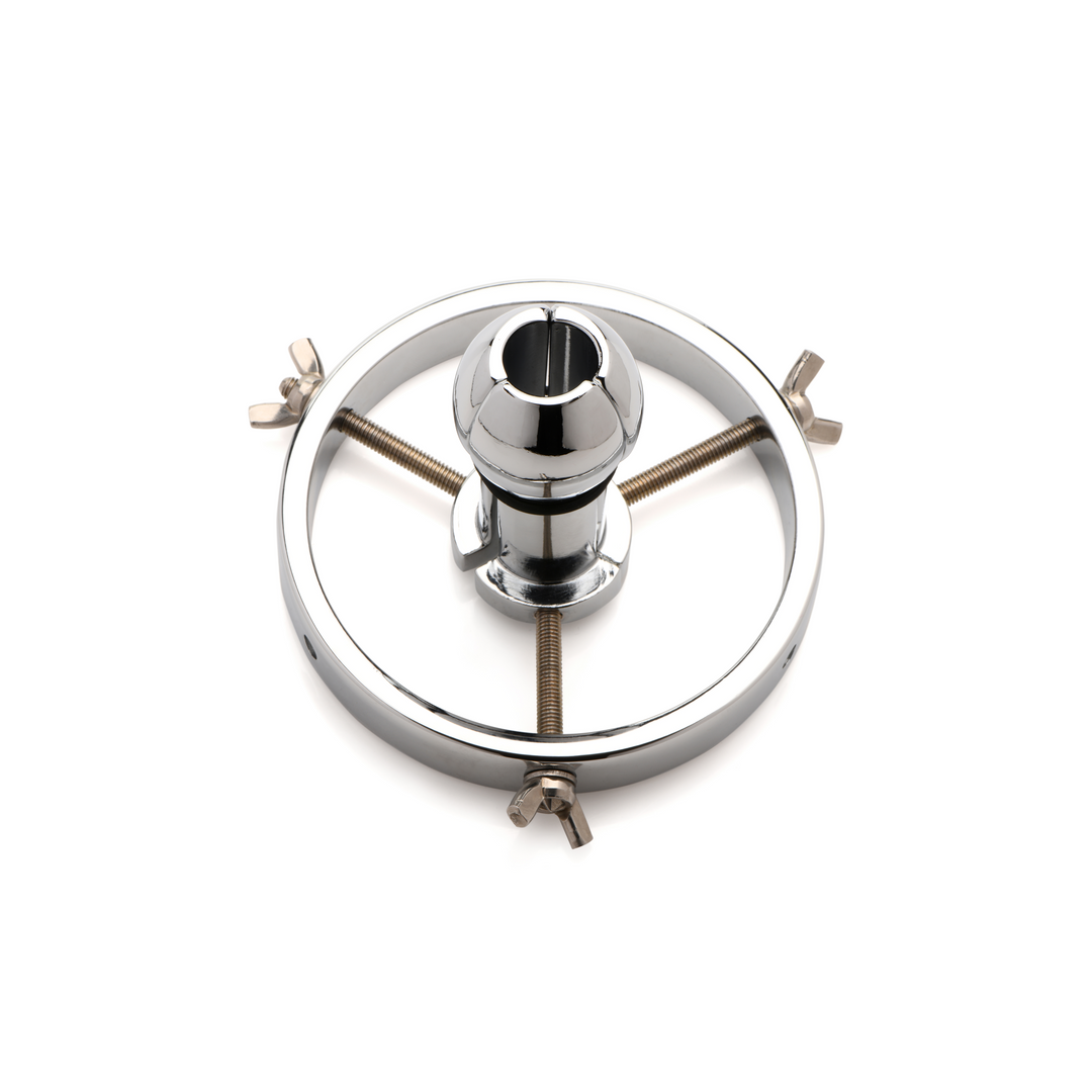 Xr brands Forcerende Spreiding - RVS Anale Verkenner (848518051608)