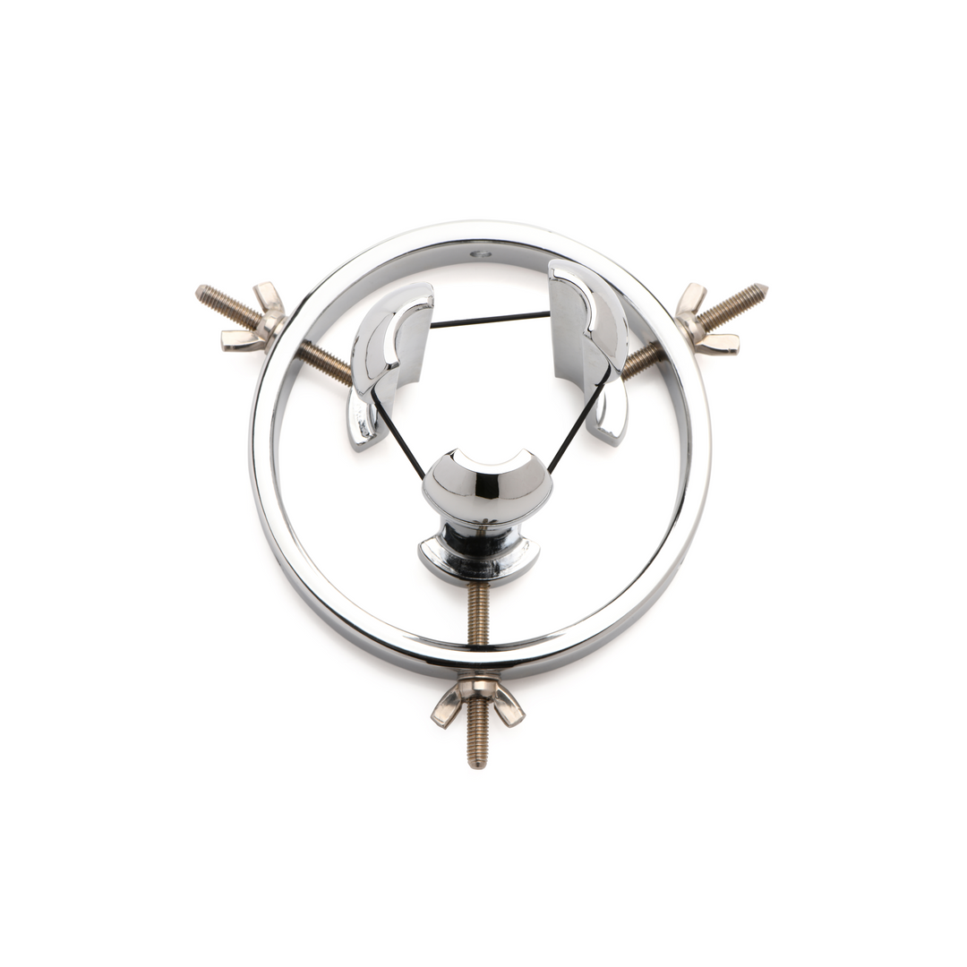 Xr brands Forcerende Spreiding - RVS Anale Verkenner (848518051608)