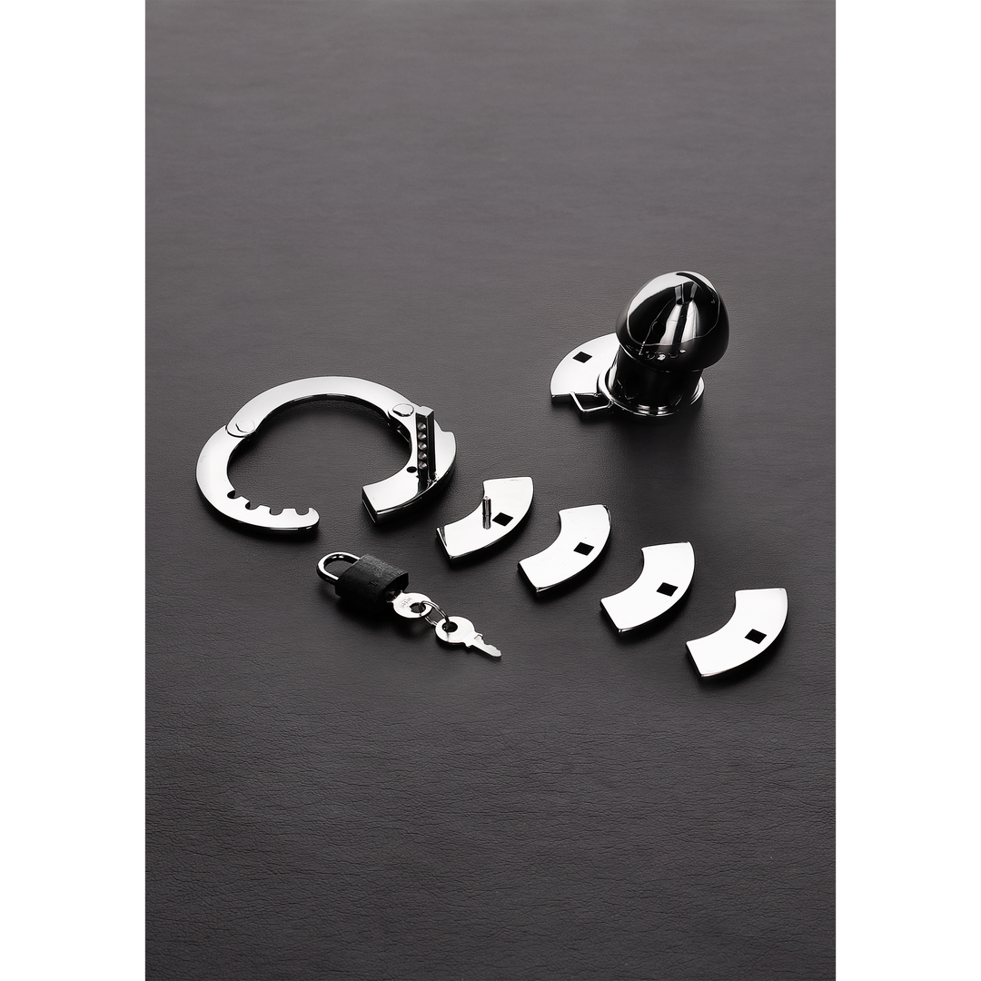 Steel by shots De Gevangene Vogel (8714273535313)