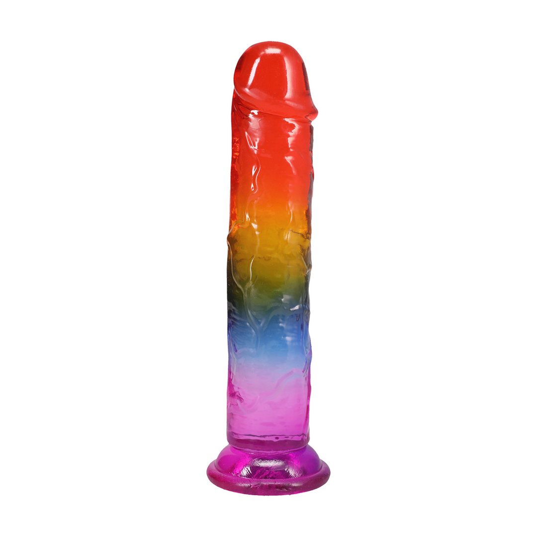 Doc johnson Classic Dong - 8,5 / 21,6 cm - Regenboog (782421100179)