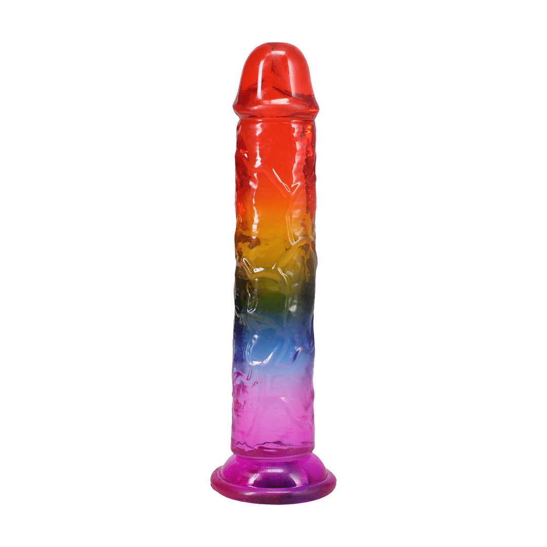 Doc johnson Classic Dong - 8,5 / 21,6 cm - Regenboog (782421100179)