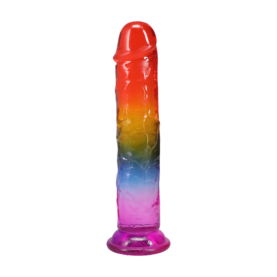 Doc johnson Classic Dong - 8,5 / 21,6 cm - Regenboog (782421100179)
